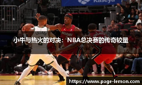 小牛与热火的对决：NBA总决赛的传奇较量