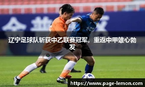 辽宁足球队斩获中乙联赛冠军，重返中甲雄心勃发