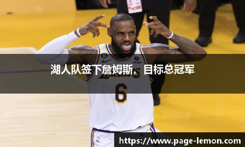 湖人队签下詹姆斯，目标总冠军