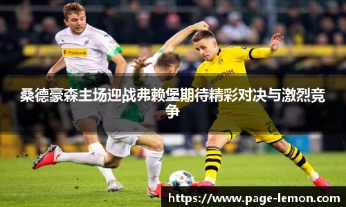桑德豪森主场迎战弗赖堡期待精彩对决与激烈竞争