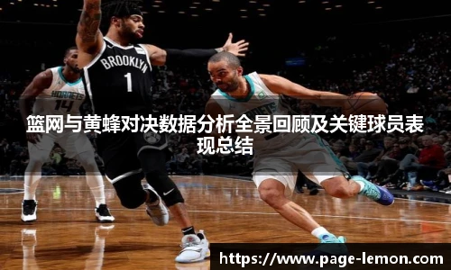 篮网与黄蜂对决数据分析全景回顾及关键球员表现总结