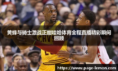 黄蜂与骑士激战正酣哇哈体育全程直播精彩瞬间回顾